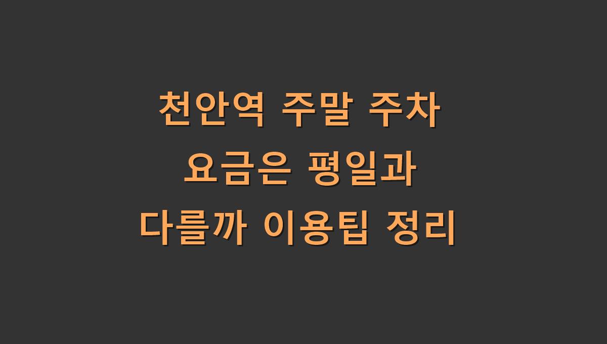 천안역 주말 주차 요금은 평일과 다를까 이용팁 정리