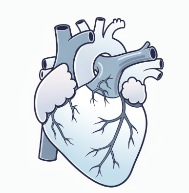 협심증 초기증상