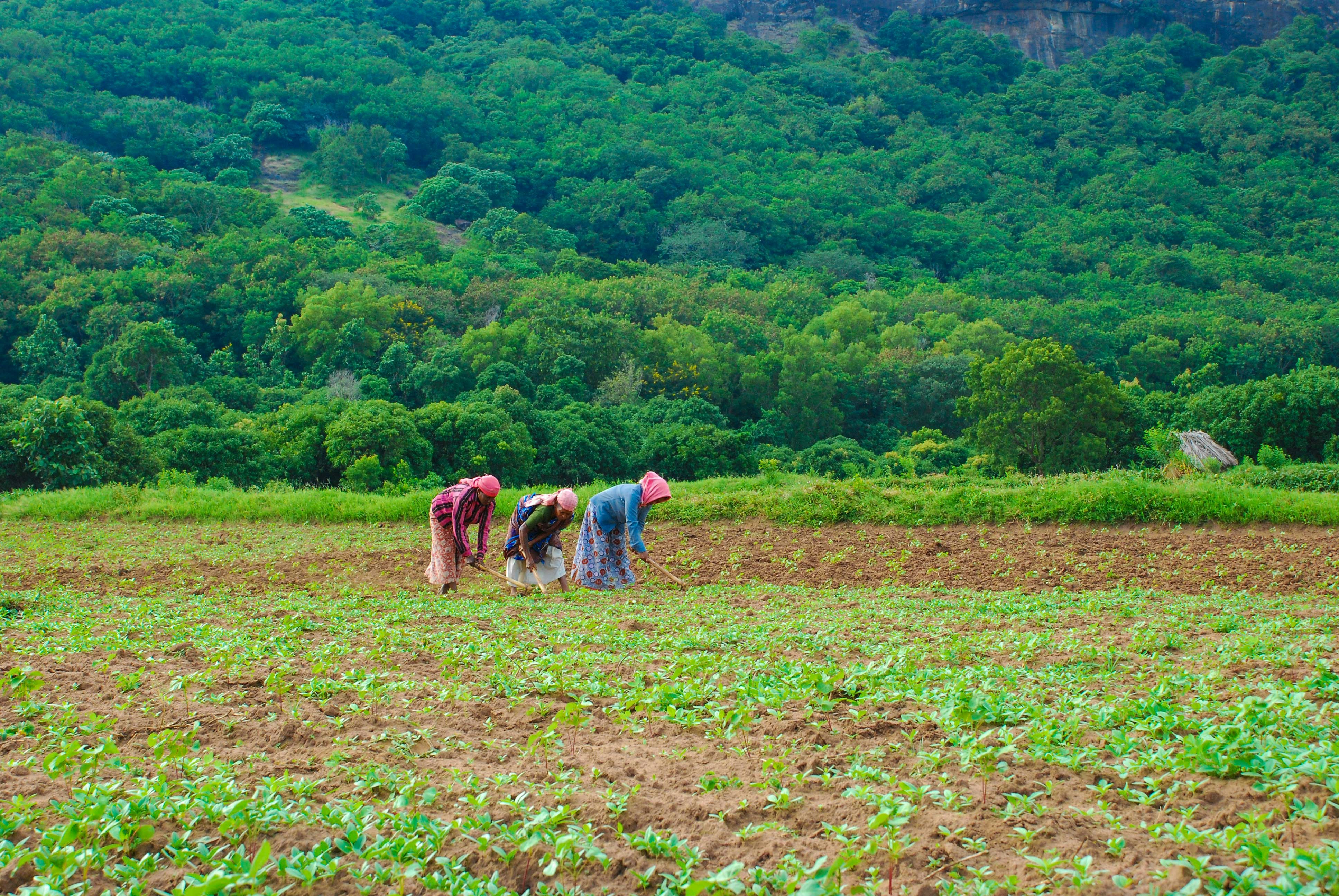 &ldquo;1인 농업 창업 준비일지 5편 - 우리 가족은 왜 전북 완주를 귀농지로 선택했을까?&rdquo;