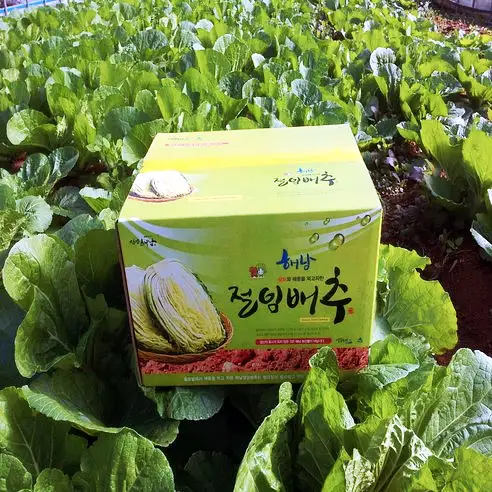 생활의달인 해남 해풍 절임 배추 달인 전국 택배 온라인 주문 방법 상세 정보 다시보기