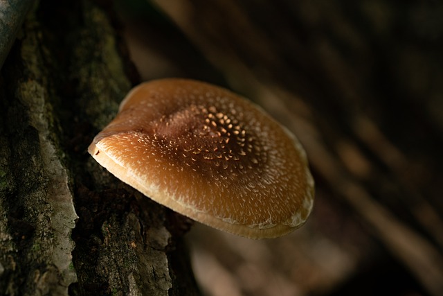 골다공증에 좋은 음식 6