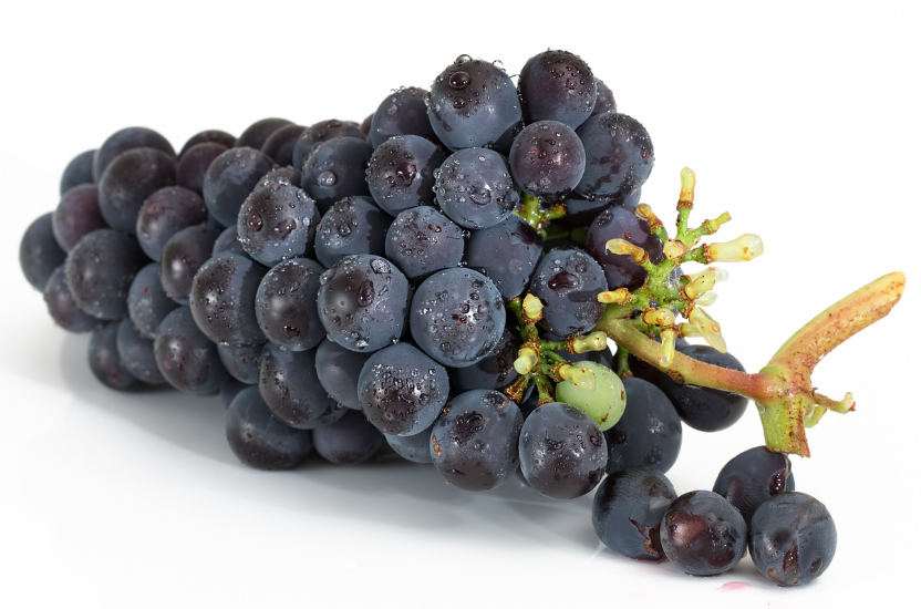 신선한 포도 고르기