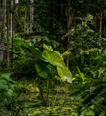 기후동행카드 신청방법, 판매처, 사용법, 충전방법, 할인