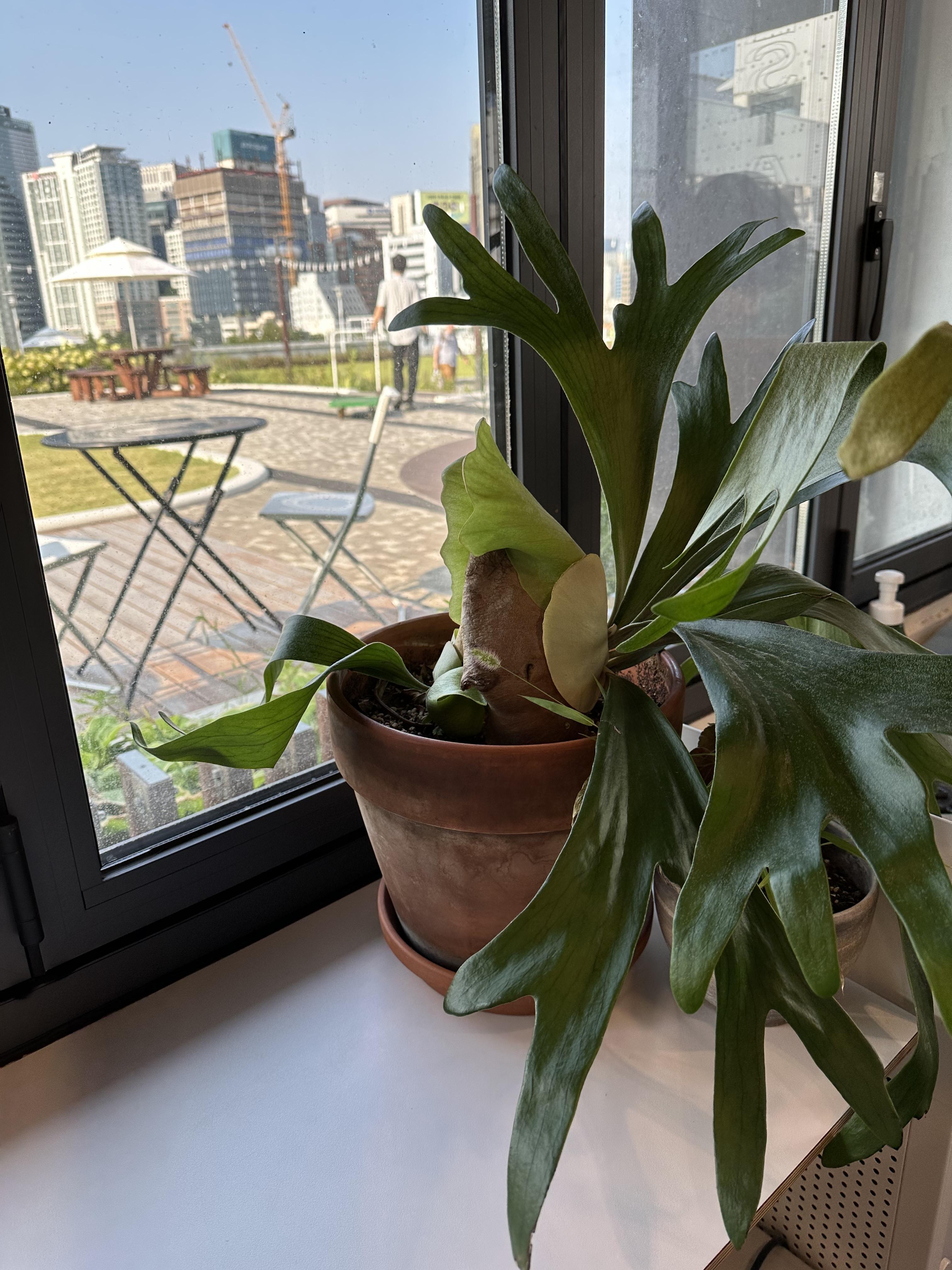 서울역-알맹상점