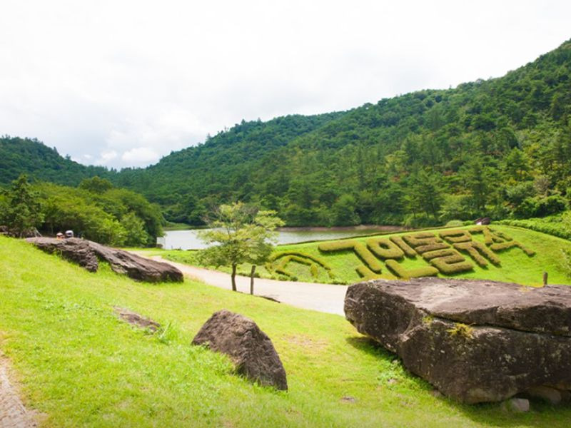 화순 고인돌 유적