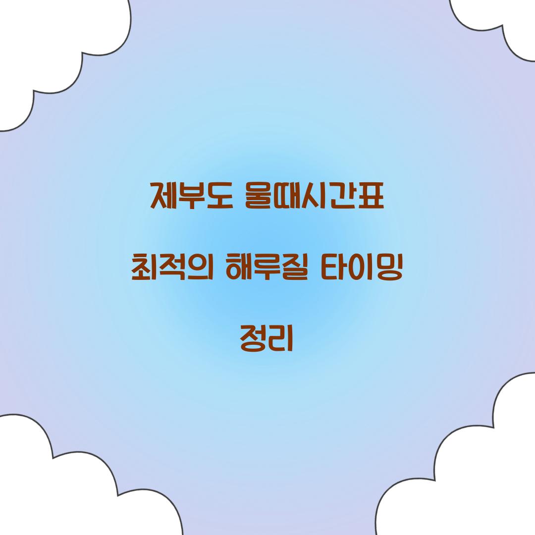 제부도 물때시간표