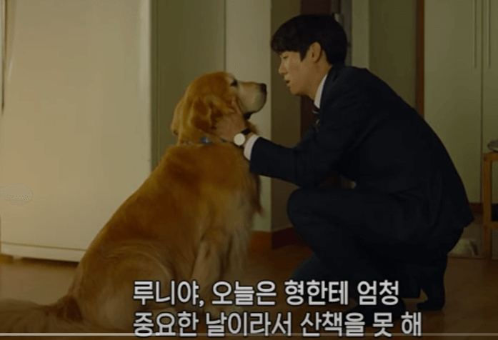 멍뭉이 영화 후기 줄거리