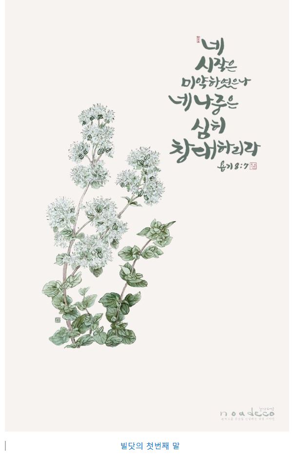 욥기 8장