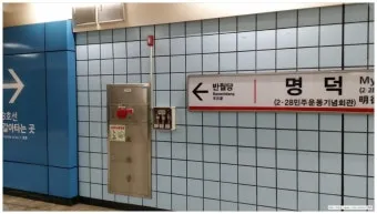 대구서부정류장 시간표 예매 조회 실시간 안내_7