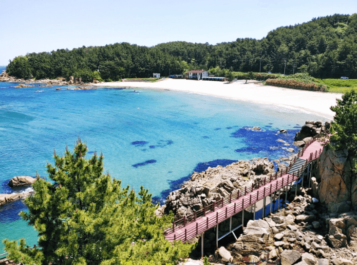 하조대전망대근처-산책길