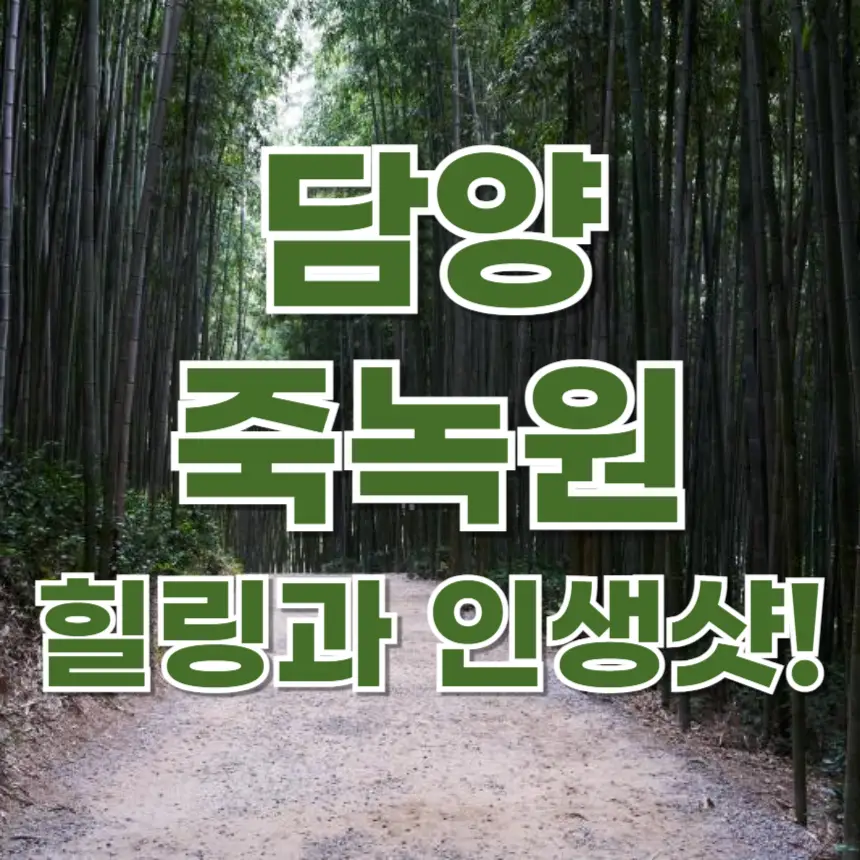 담양 죽녹원, 죽녹원 입장료, 죽녹원 운영시간, 죽녹원 산책 코스, 죽녹원 포토존, 담양 여행, 담양 가볼만한곳, 대나무 숲