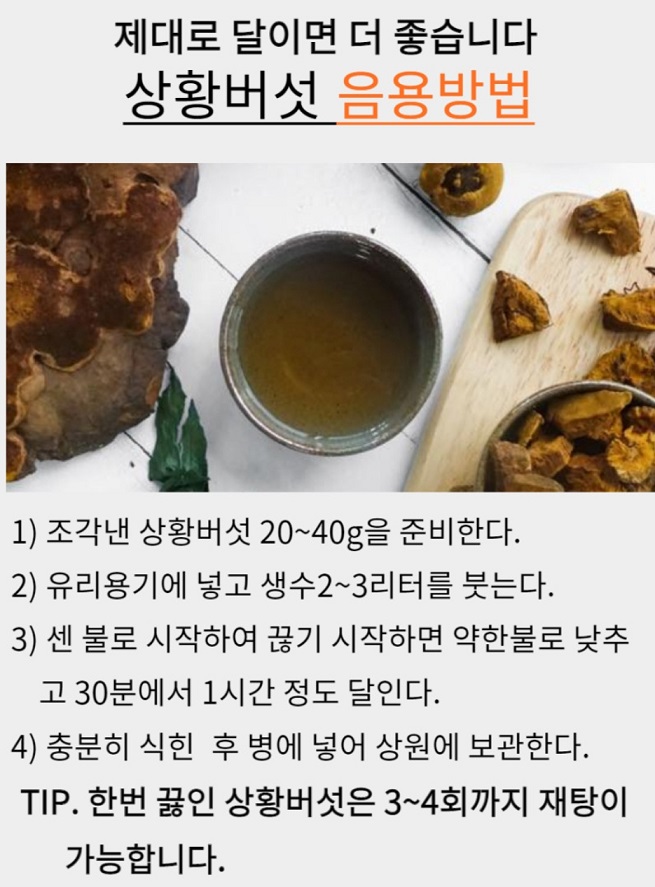 상황버섯-마시는방법