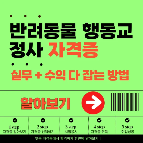 초보자도 가능한 반려동물 행동교정사 자격증|실무+수익 다 잡는 법