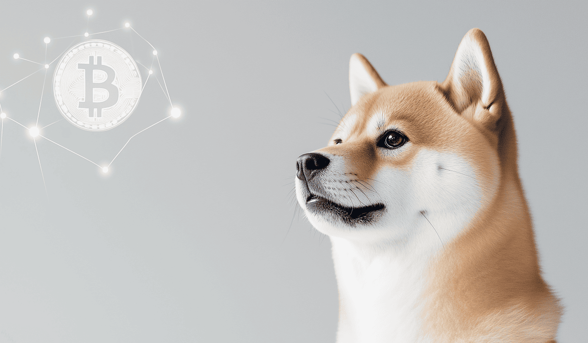 도지코인_시세_10