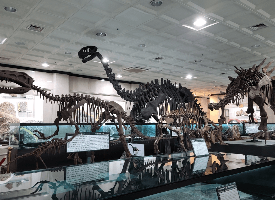 강원종합박물관