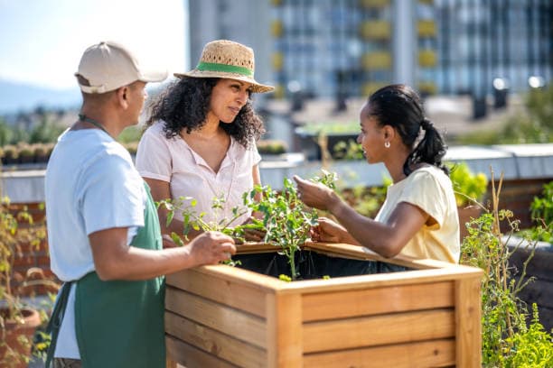 자원봉사와 도시 농업: 지속 가능한 지역 사회 구축