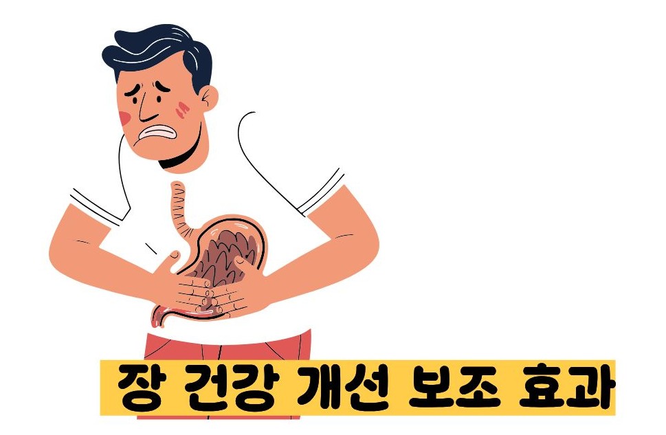 도라지청의 효능