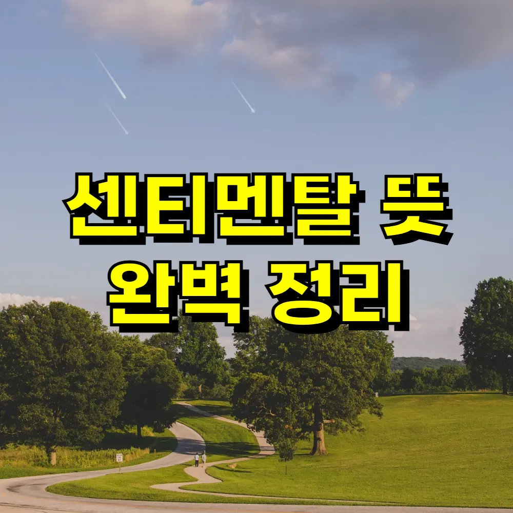 센티멘탈 뜻 완벽 정리