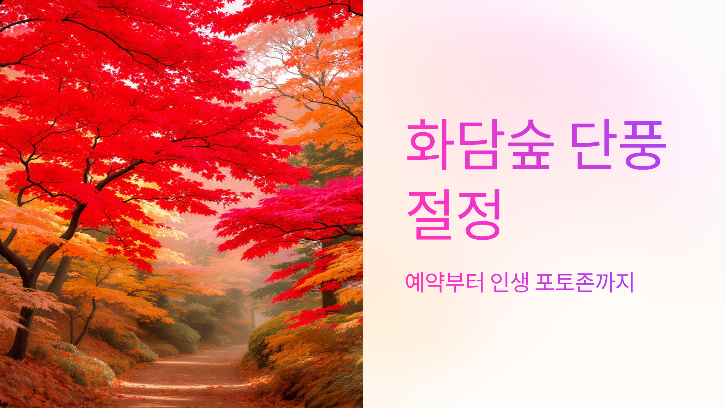 화담숲 단풍 절정