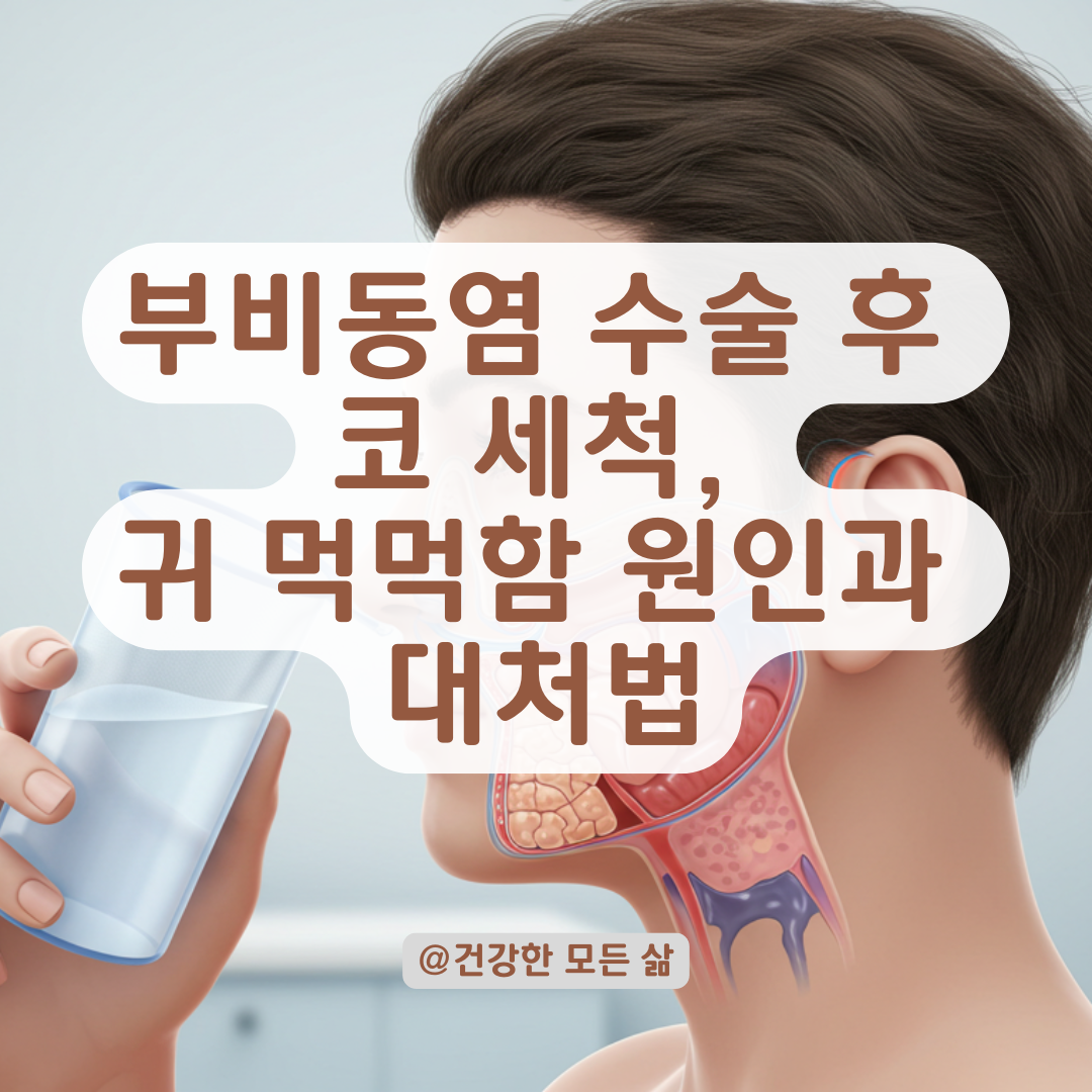 부비동염 수술 후 코 세척 부작용? 귀 먹먹함이 생겼다면 확인해야 할 원인과 대처방법.