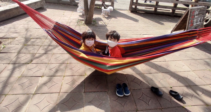 빈백 옆 해먹에서 놀고있는 쿠앙이 쿠웅이