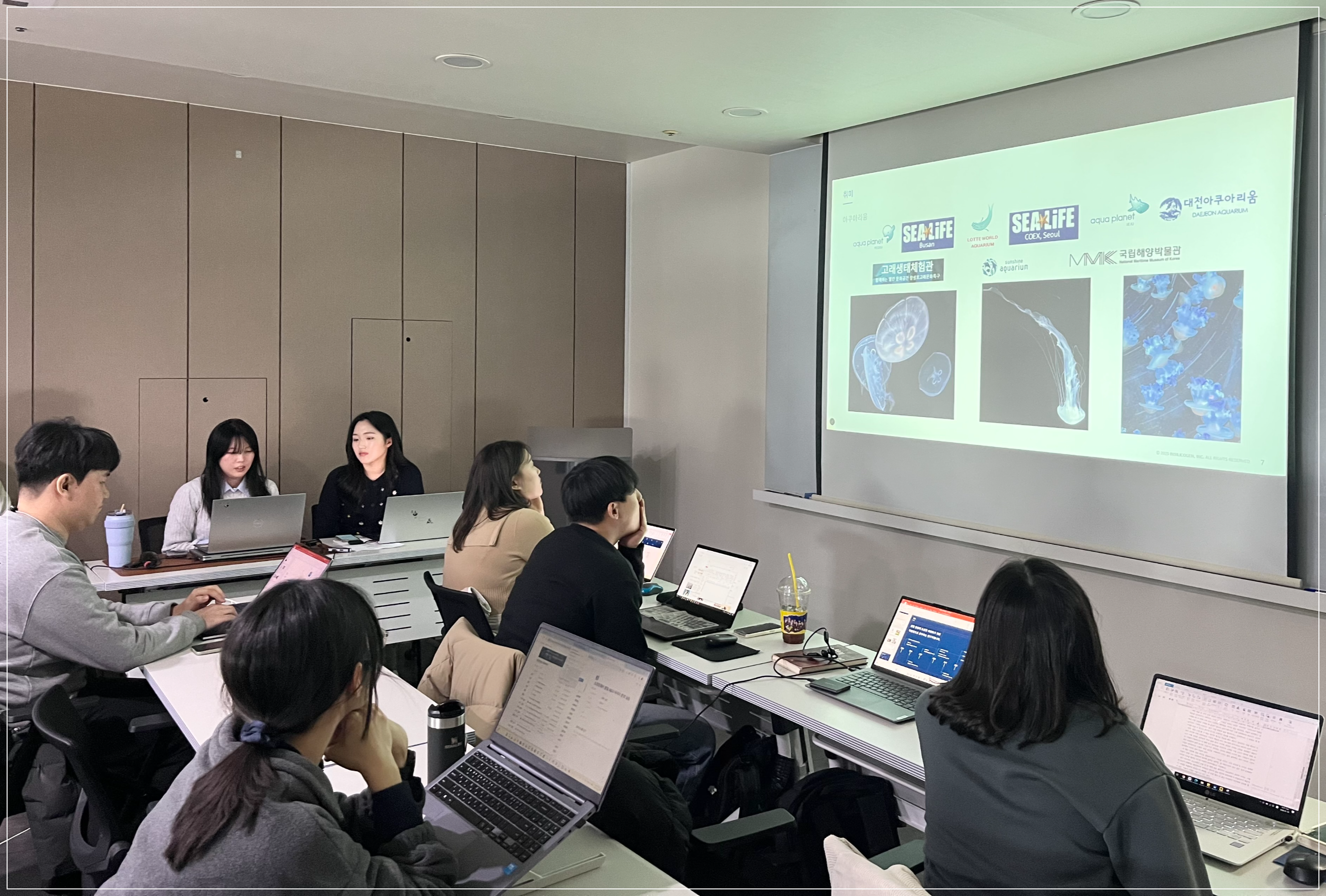 인코인턴십, 인턴십
