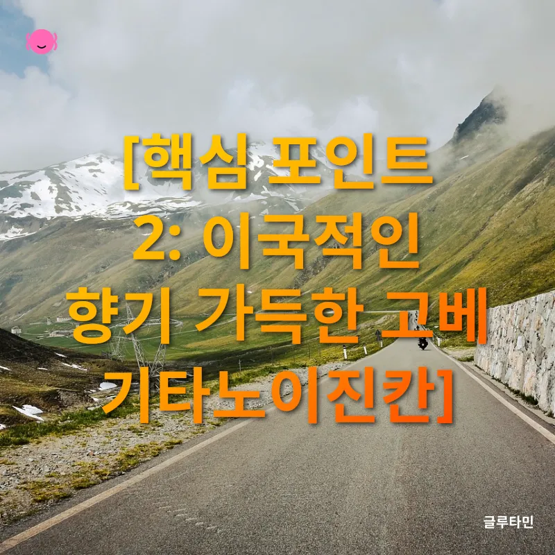간사이 당일치기 여행_2