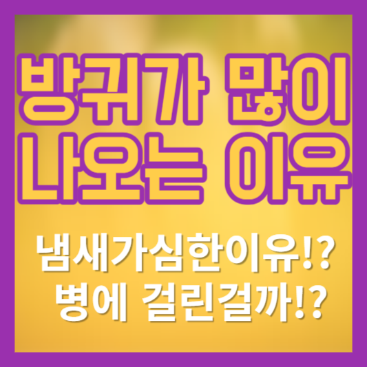 방귀가 많이 나오는 이유