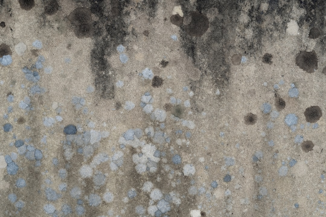 Mold