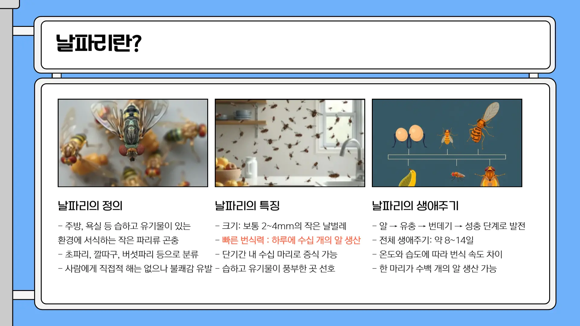 날파리 없애는 방법1