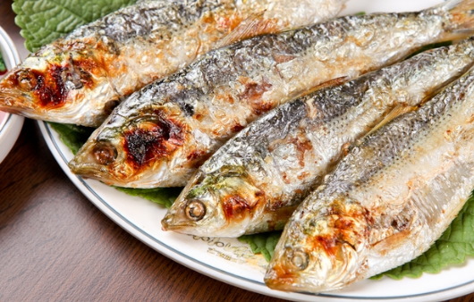 전어 효능 및 부작용