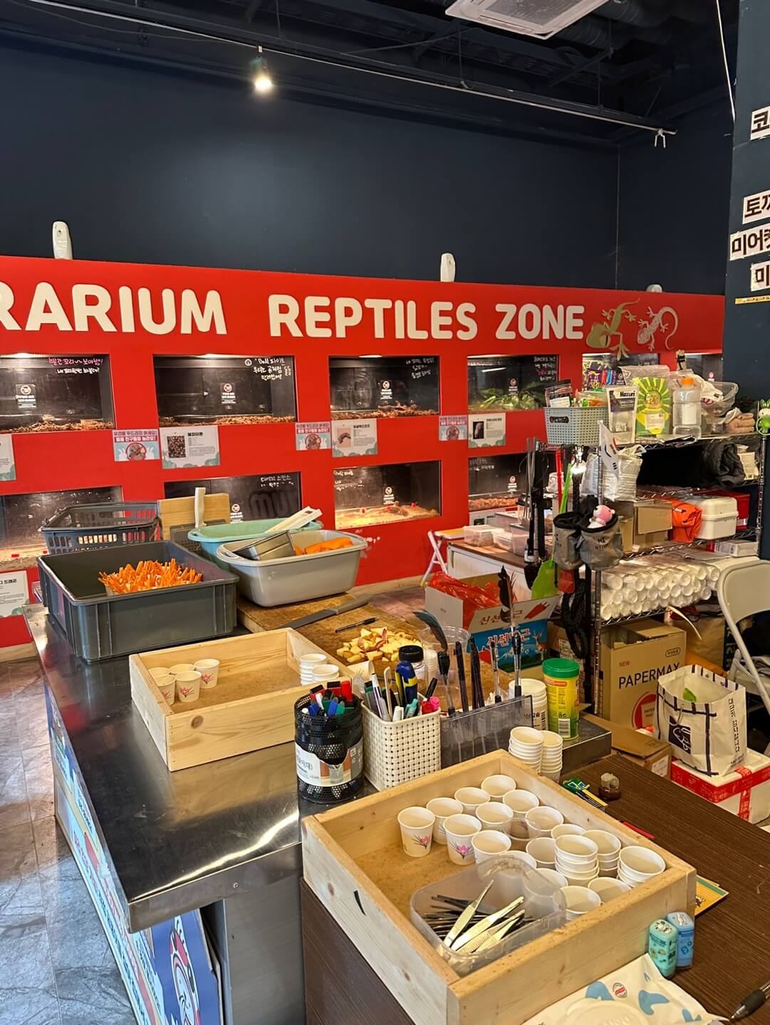 하남 쥬라리움 입구 및 내부 모습