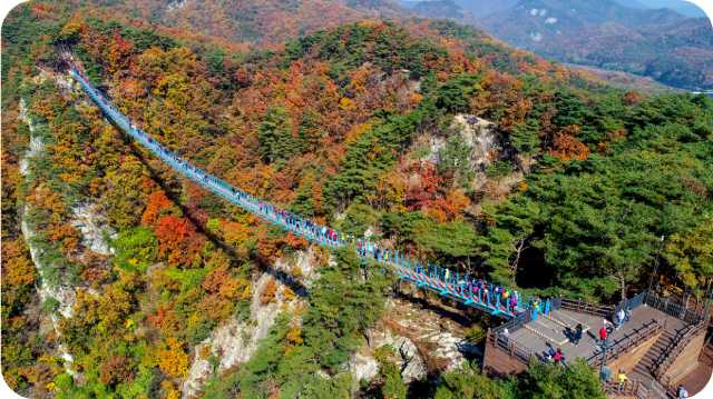 원주 소금산 출렁다리