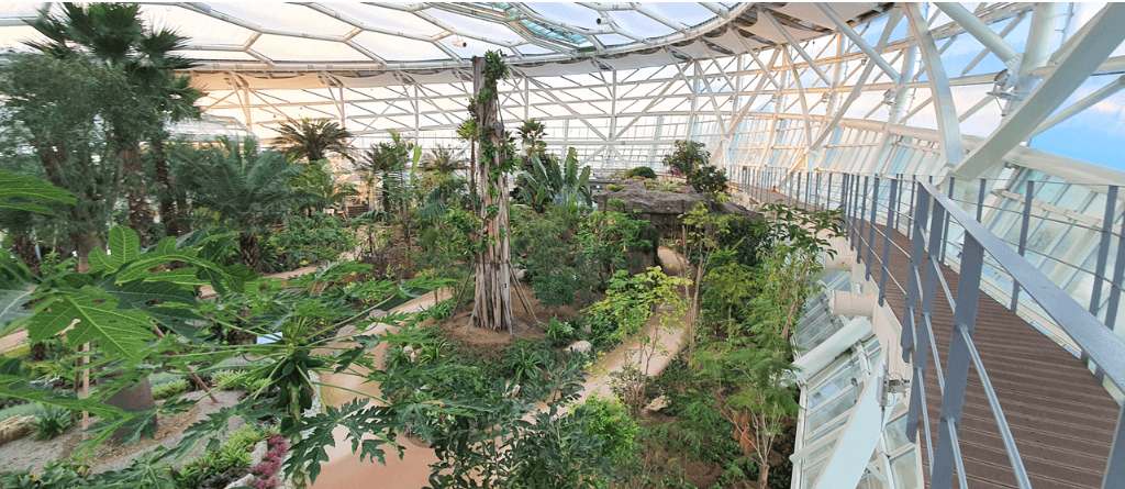 부천호수식물원스카이워크