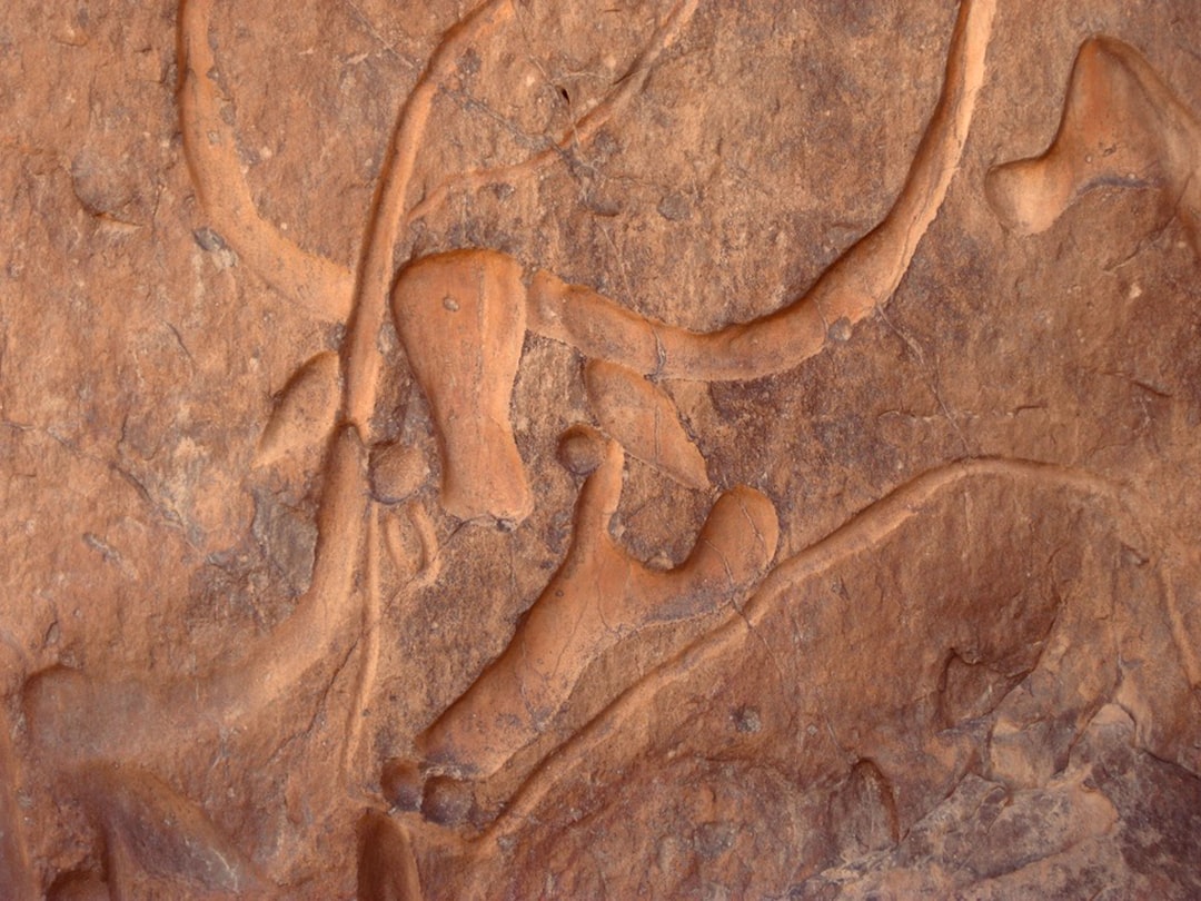 Fossil