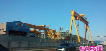 마산 해안도로 5월의 꽃 다정큼나무 산딸나무 해당화_22