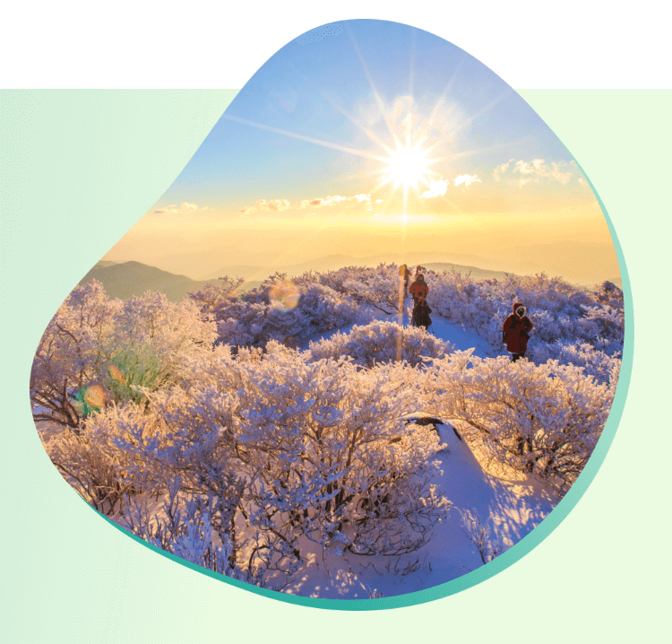 혼행족 필수! 디지털 관광주민증 발급 및 활용법