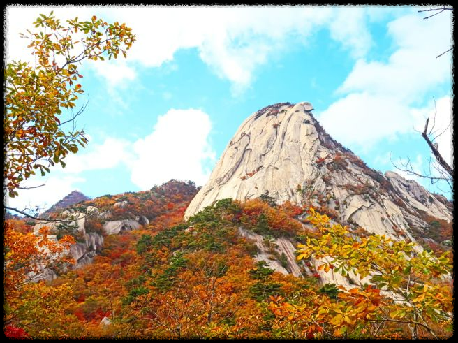 2024 가을&amp;#44; 국내 단풍 명소 추천: 절정 시기와 여행 팁까지 완벽 가이드
