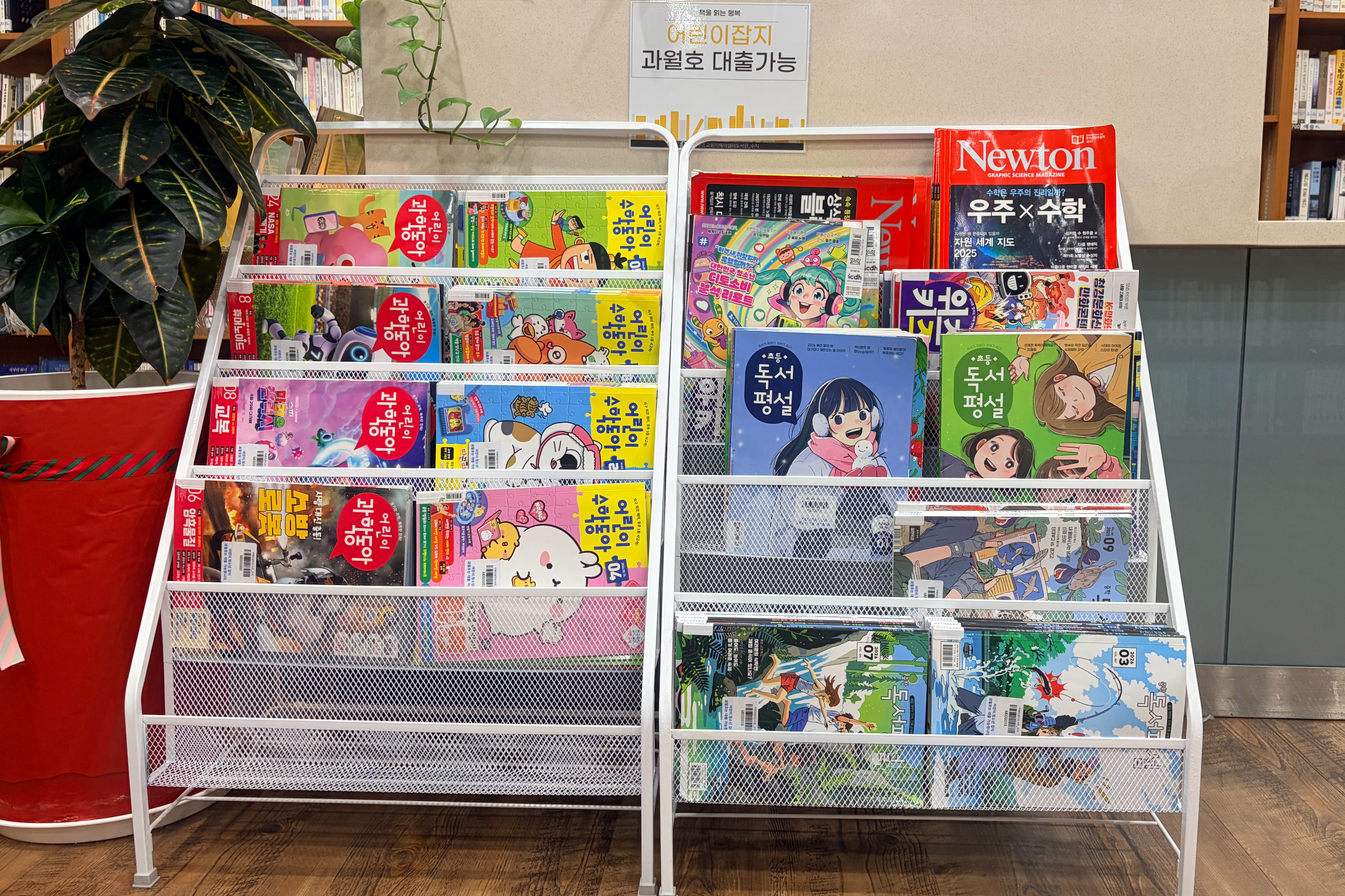 사서가 되기 전 무엇을 준비해야 할까? 자격증보다 먼저 확인할 5가지