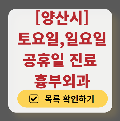 양산시 주말 토요일 일요일 흉부외과 진료 병원 목록 ❘ 공휴일 진료 영업 병원 리스트 찾기