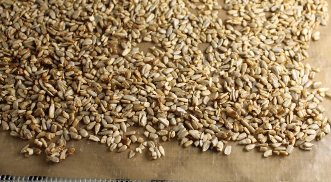 해바라기 씨 효능