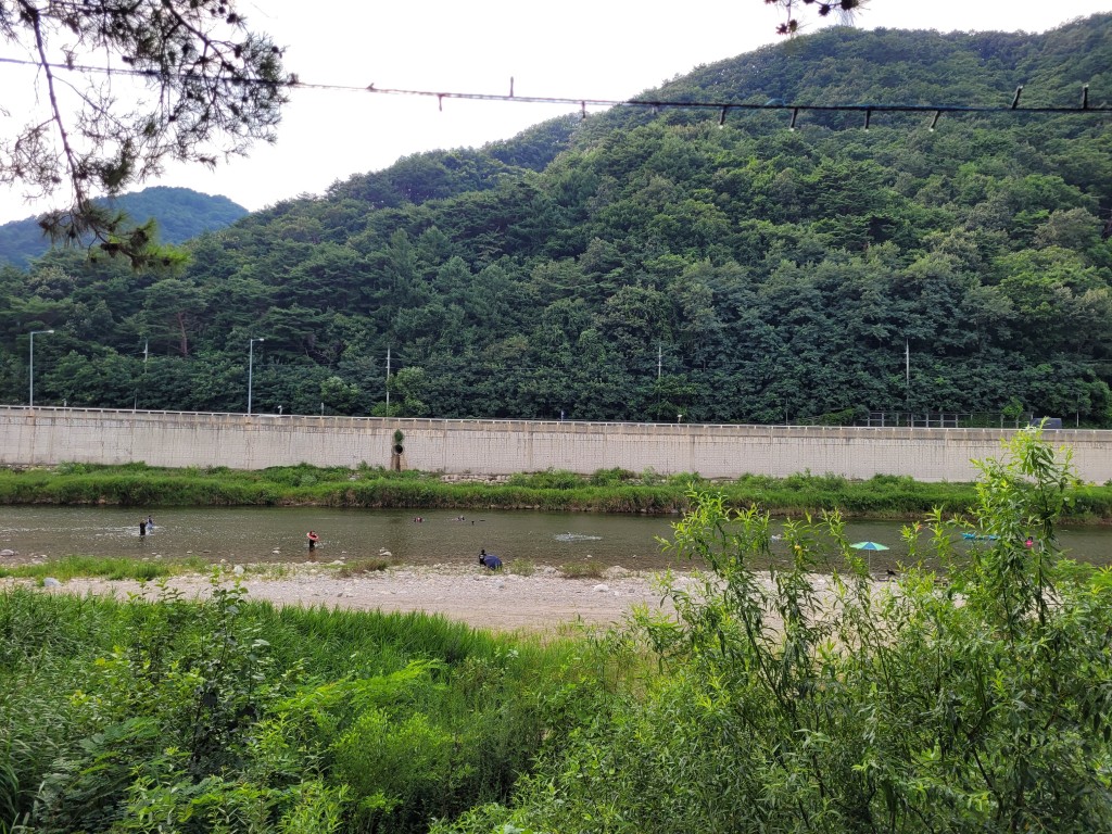 캠핑장 앞 개천 풍경