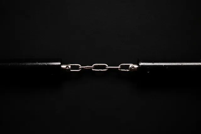 초저조도 식물 추천 빛부족집 관리요령 물주기간격 식물등활용_5