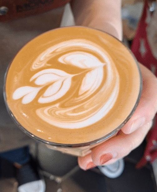 망친 윙튤립 첫번째