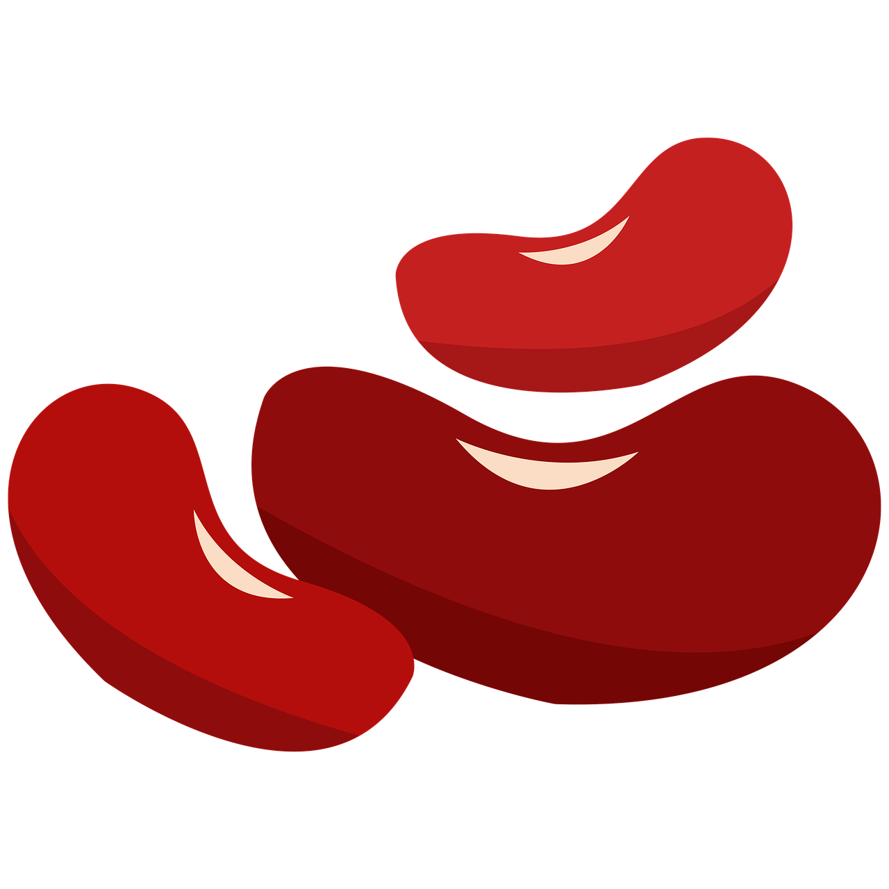 단백뇨 줄이는 방법