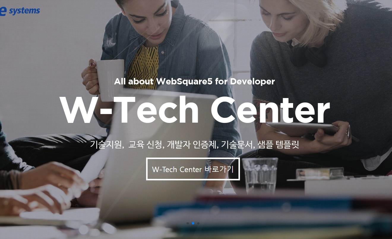 인스웨이브시스템즈