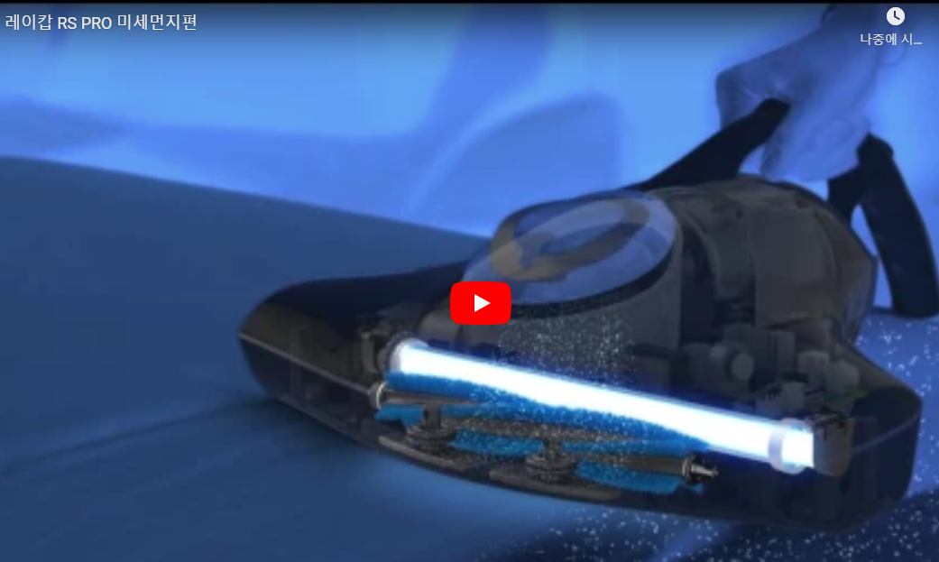 레이캅 RS PRO