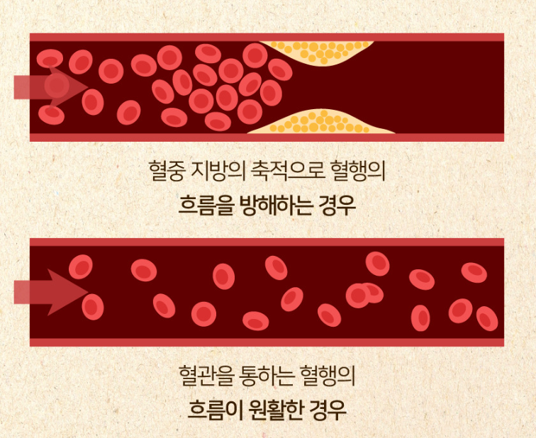 리서처스 투비컷