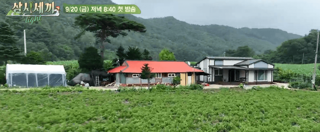 임영웅 삼시세끼 방송