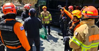 늑구 포획 현상금 청주 암컷 AI사진 총정리